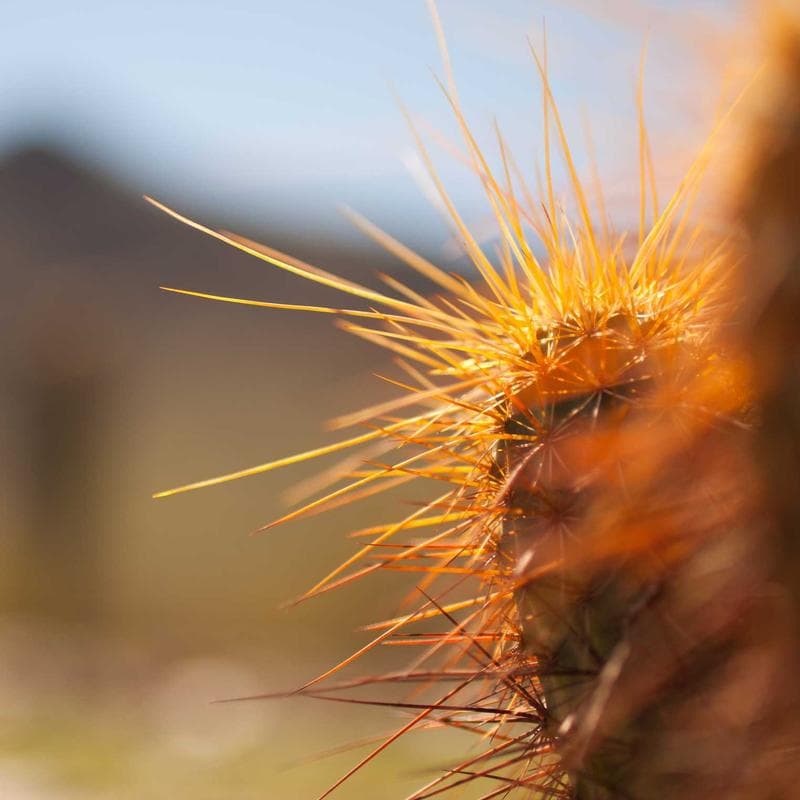 Meritor Air Dryer 4324710020 image