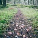 Product carousel Indicator