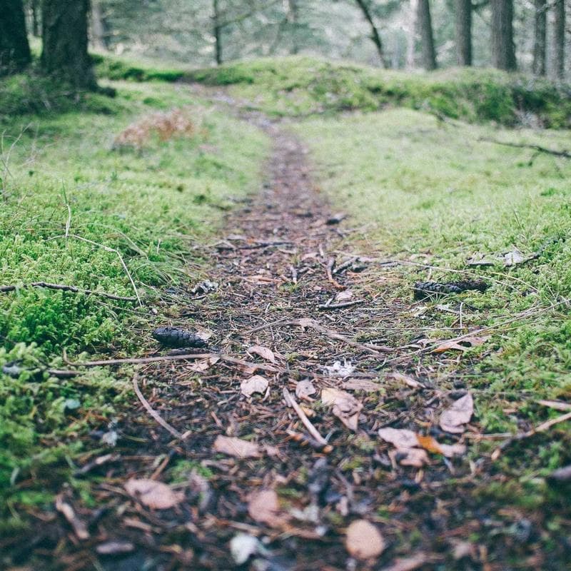 Fleetguard Oil Filter LF9080 Extended image