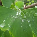 Product carousel Indicator